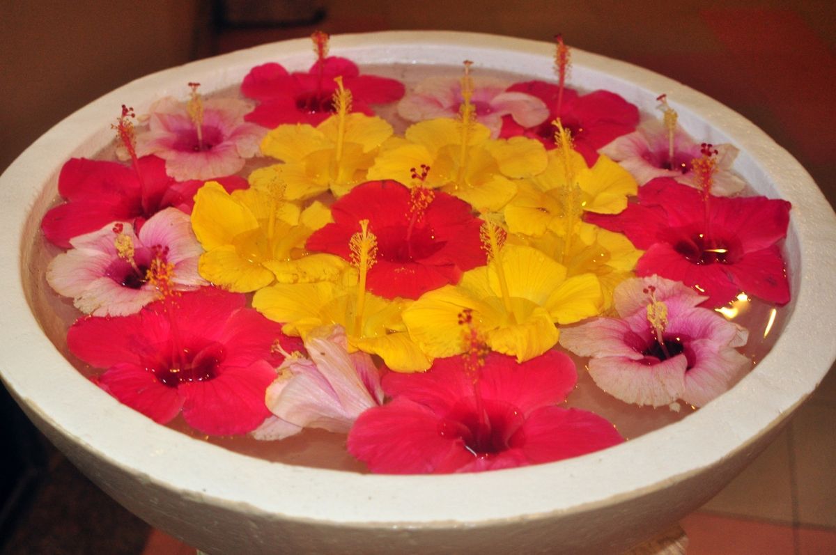 7th Mar. 2012 pic📷

ホテル散策🔍*°

♔♕♖♗♘♙♚...