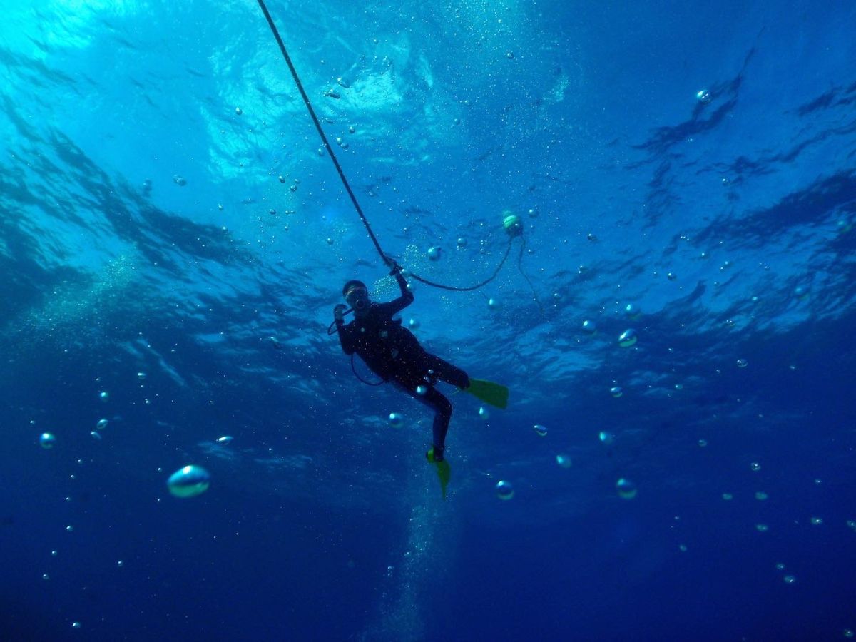 9th Mar. 2012 pic📷

１本目🐠⋆*
in 松安丸⚓
(沈...