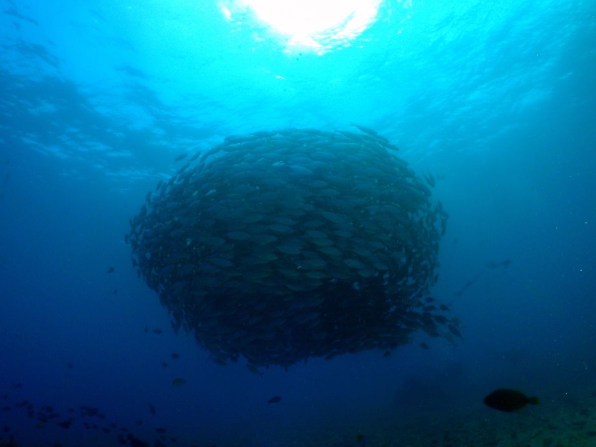 9th Mar. 2012 pic📷

in Lau Lau Beach🏖...