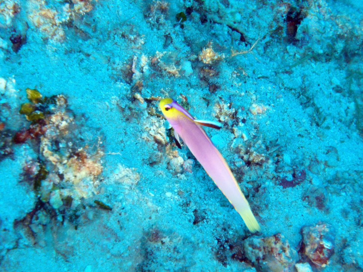 8th Mar. 2012 pic📷

in Grotto🪨
part３
...