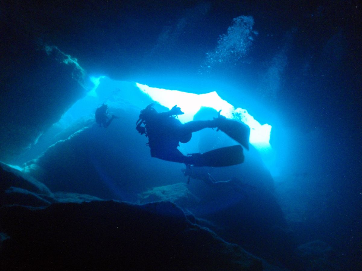 8th Mar. 2012 pic📷

in Grotto🪨
part２‪...