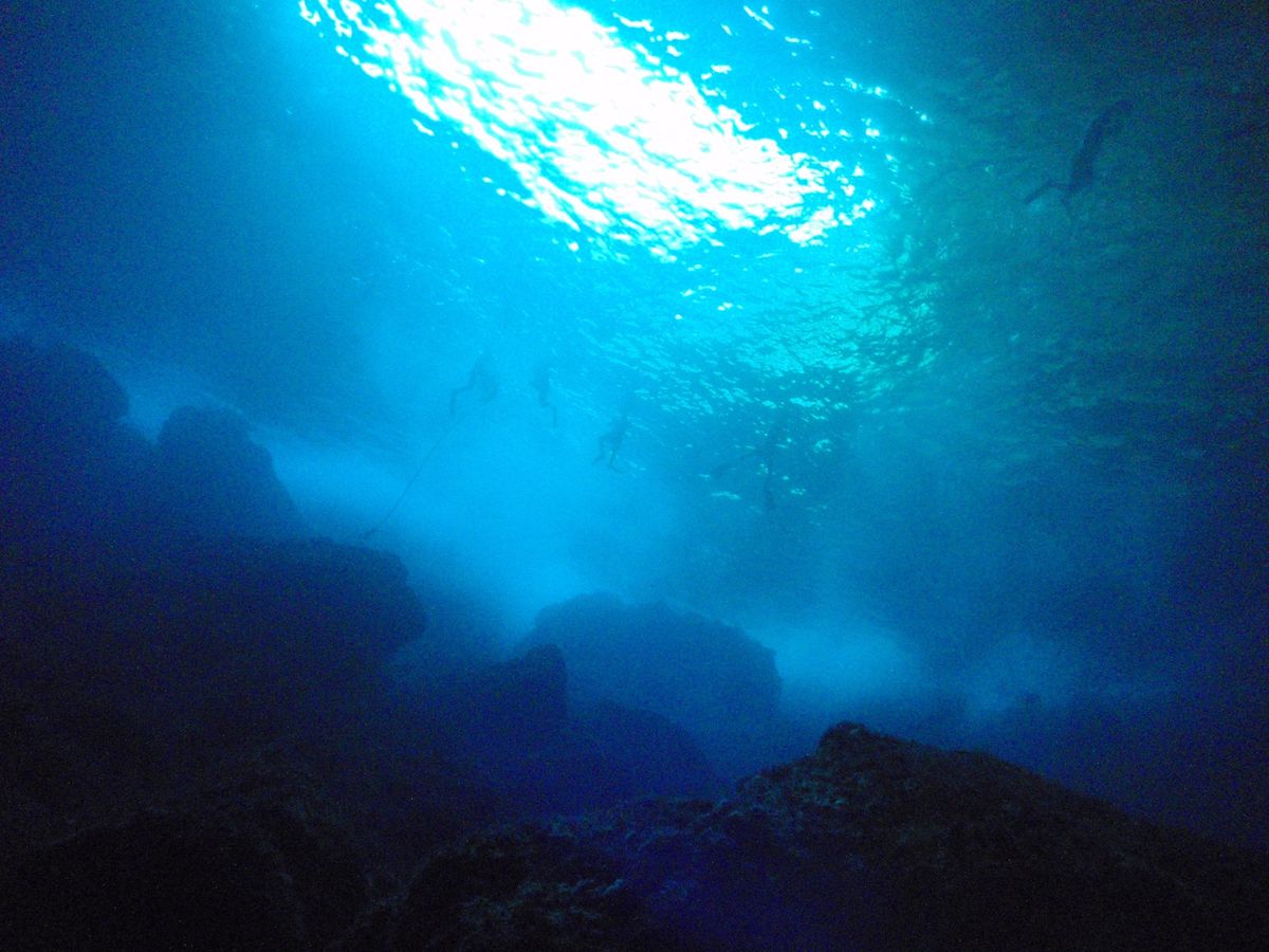 8th Mar. 2012 pic📷

in Grotto🪨
part４
...