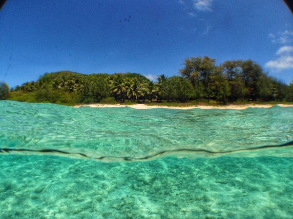 北マリアナ諸島・サイパン島「Saipan🇲🇵Diving🤿Trip👫」の写真：8th Mar. 2012 pic📷

...