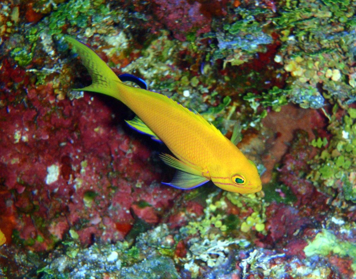 10th Mar. 2012 pic📷

１本目🐠⋆*
in フレミング
...