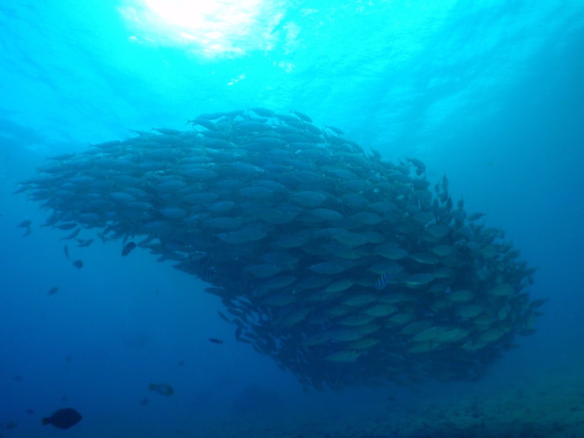 9th Mar. 2012 pic📷

in Lau Lau Beach🏖...