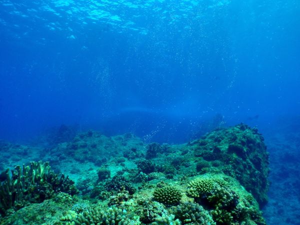 北マリアナ諸島・サイパン島「Saipan🇲🇵Diving🤿Trip👫」の写真：10th Mar. 2012 pic📷
...