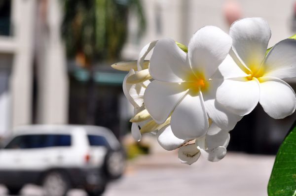北マリアナ諸島・サイパン島「Saipan🇲🇵Diving🤿Trip👫」の写真：11st Mar. 2012 pic📷
...