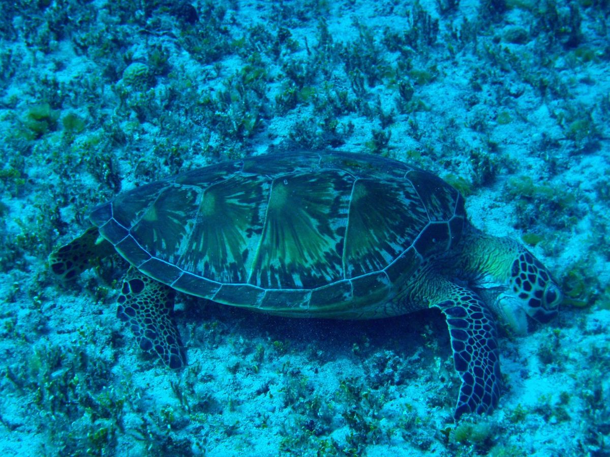 10th Mar. 2012 pic📷

in フレミング
part２‪✌...