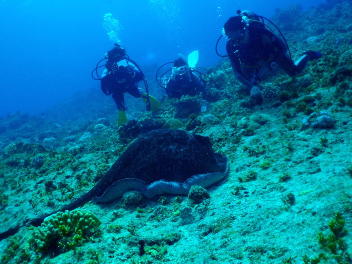 10th Mar. 2012 pic📷

in テニアングロット🪨
par...