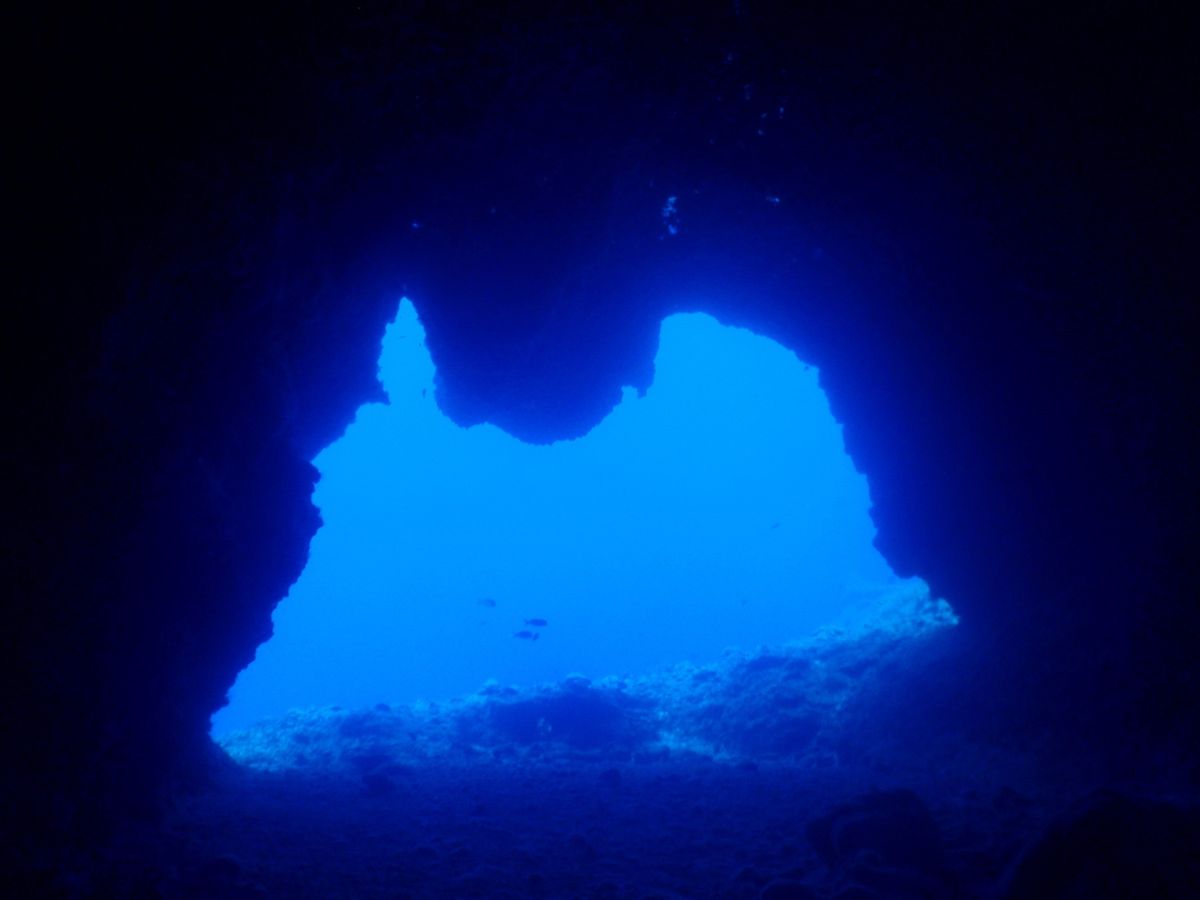 10th Mar. 2012 pic📷

2本目(Last dive)🐠🐠...