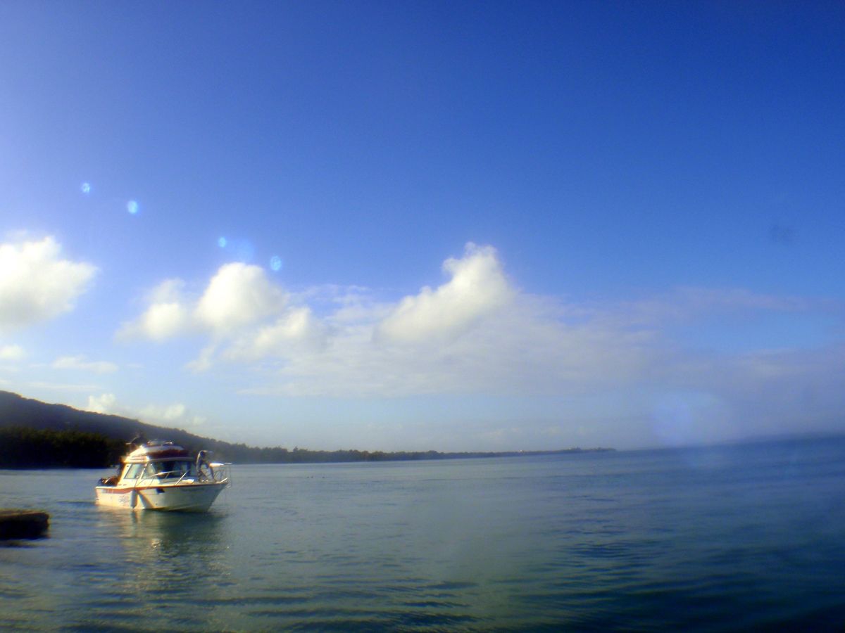 9th Mar. 2012 pic📷

虹～🌈✨

good diving...