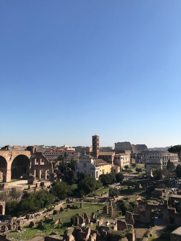 イタリア・ローマ「イタリア卒業旅行」の写真：誰もが教科書で見たことあるコロッセオ！と...