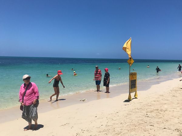 オーストラリア連邦・ケアンズ「オーストラリア①」の写真