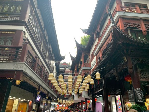 中国・上海「中国」の写真