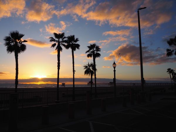 アメリカ(米国)・ロサンゼルス「アメリカ」の写真