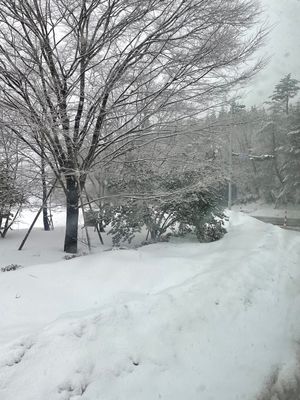 暴風雪の影響で飛行機が欠航❄️🌪
バスと新幹線を乗り継いで8時間かけて帰り...