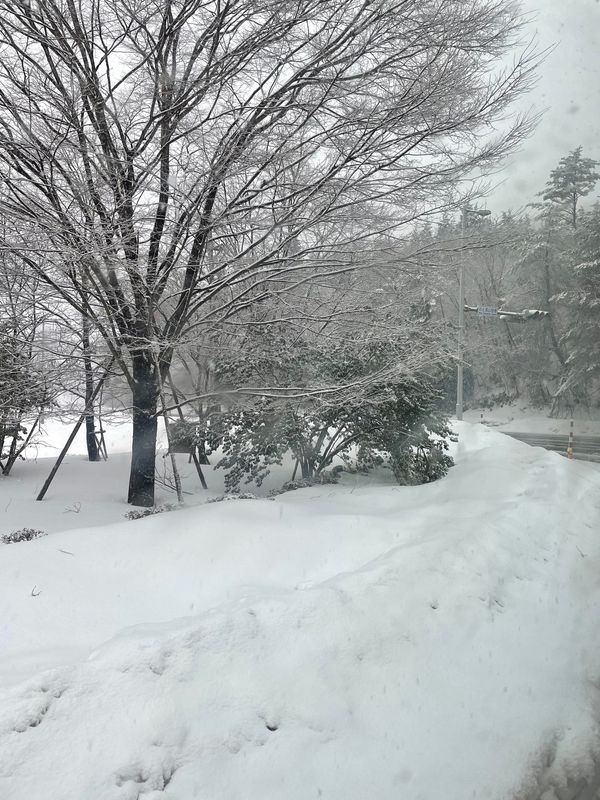 日本・石川県「能登家族旅行」の写真：暴風雪の影響で飛行機が欠航❄️🌪
バスと...