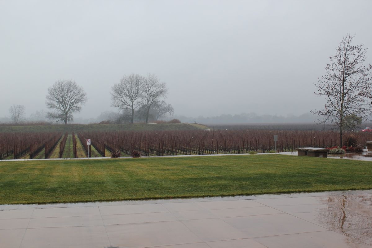 @Robert Mondavi

3軒目にもなると酔いが回ってきたのか、テ...