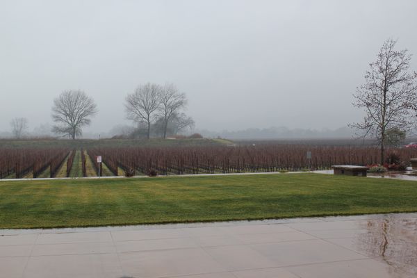 アメリカ(米国)・サンフランシスコ「2012：ASCO-GI@San Francisco」の写真：@Robert Mondavi

3軒目...