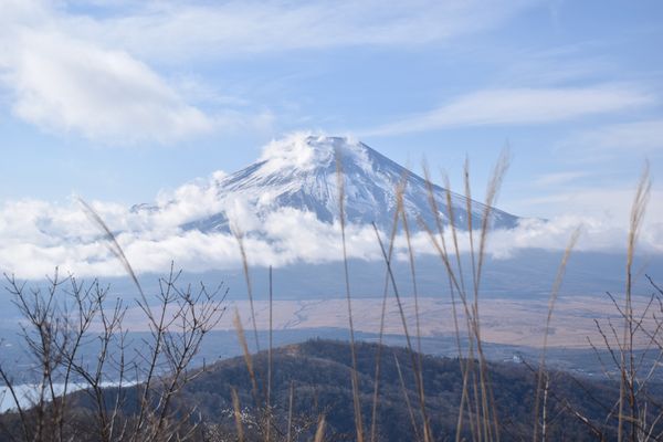 日本・山梨県「山梨日帰り」の写真