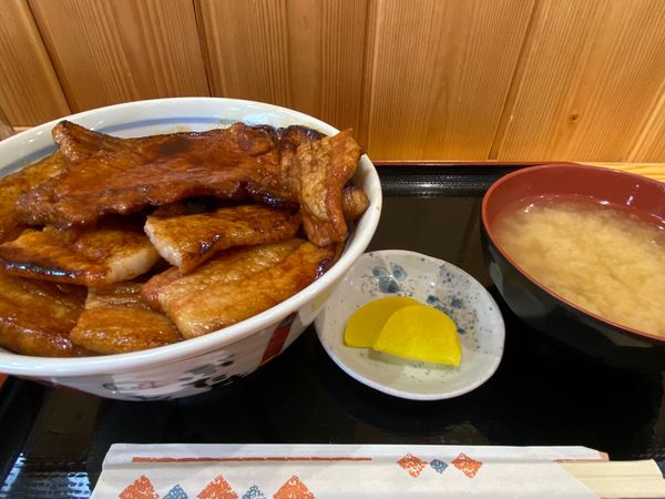 日本・北海道「弾丸北海道」の写真