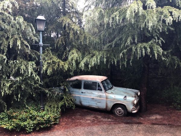 日本・大阪府「初めてのUSJへ」の写真：USJっていちいち雰囲気あるから
あちこ...