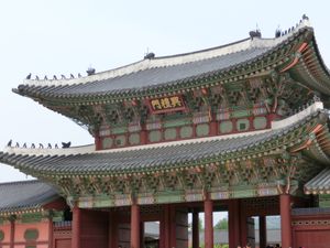 @景福宮①

ちょうど訪れた時に守門将交代式が行われてました‼️
知らずに...