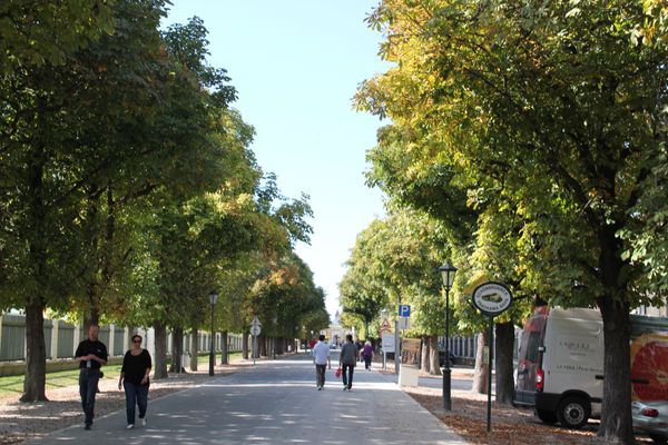 ドイツ・ハイデルベルク「2012：ESMO@Vienna」の写真：@Schloss Schonbrunn①...