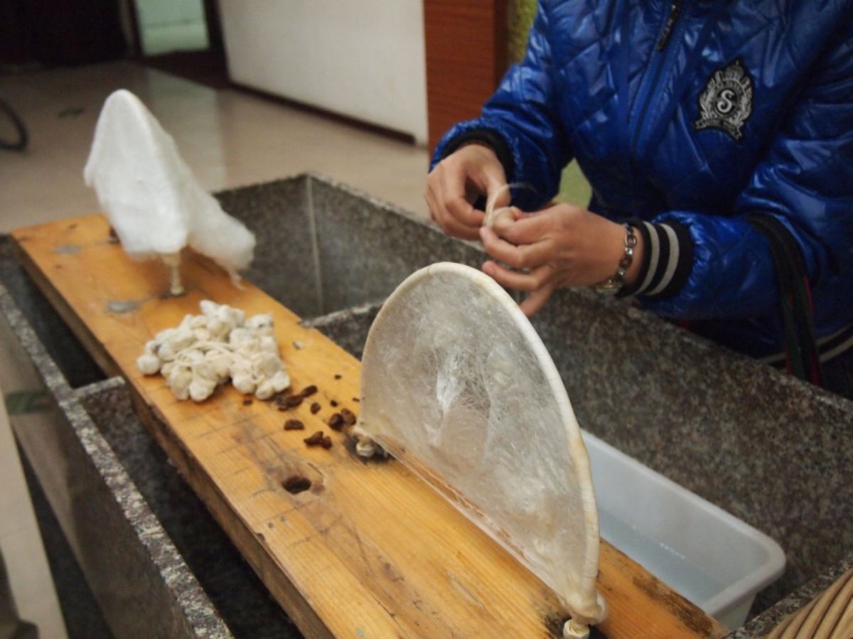 天壇公園までの移動中、またもや実演販売のお店に連れていかれました💦
ここは...