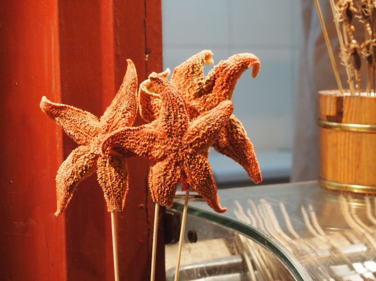 露天ではゲテモノが売られてました💦
4枚目は何の肉だか忘れたけど、ゲテモノ...