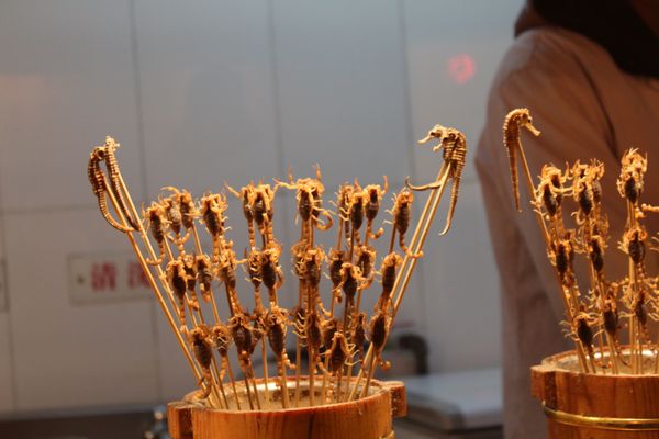 中国・北京「2013：APCC@Beijing, Tianjin」の写真：露天ではゲテモノが売られてました💦
4枚...