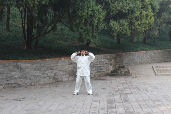 中国・北京「2013：APCC@Beijing, Tianjin」の写真：@頤和園⑥

普通にカンフー(❓)してる...