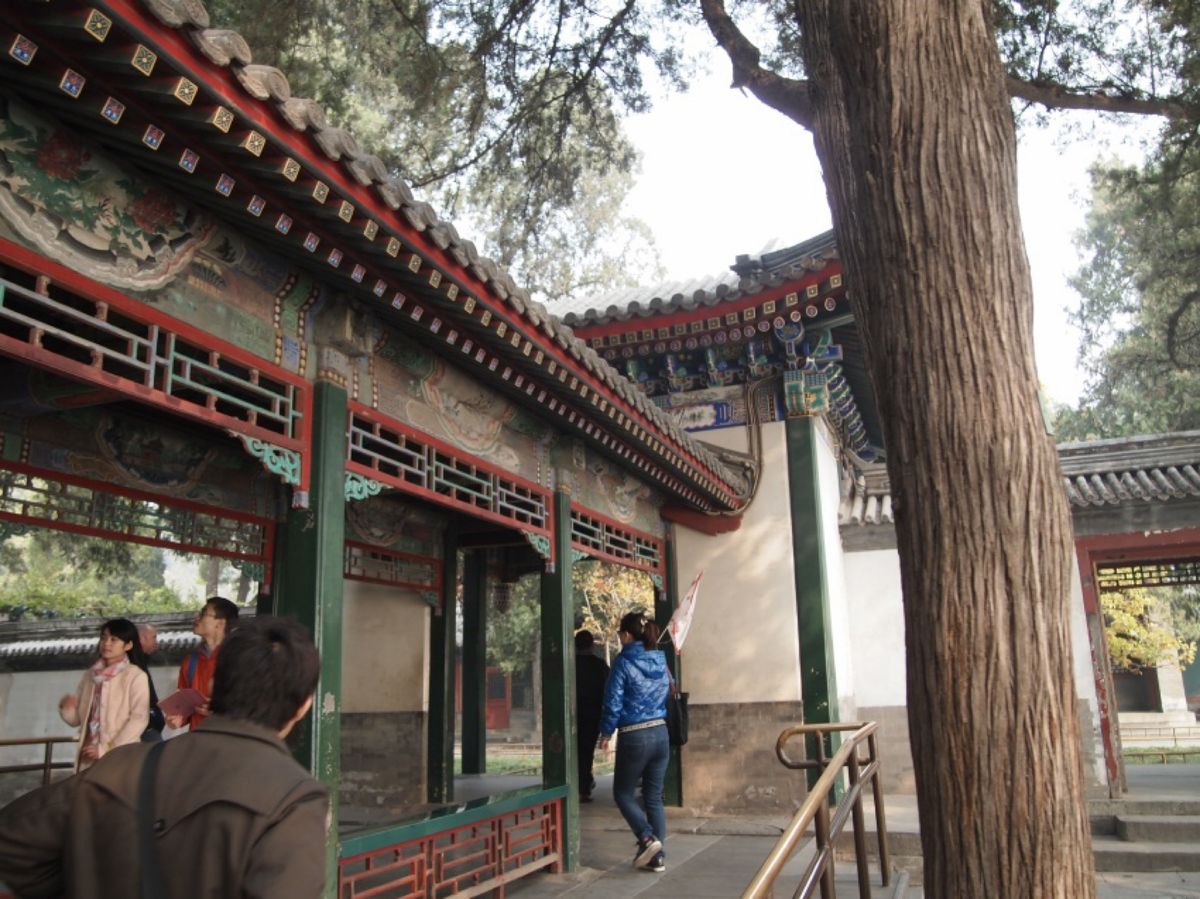 @頤和園②

調べてみると面積が297haもあるようです💦
確かにめちゃく...