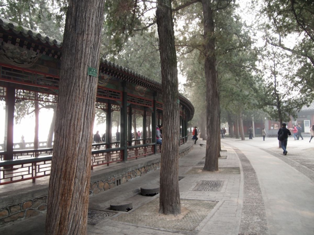 @頤和園⑤

後半は歩き疲れてただただ、写真を撮るばかり...😭