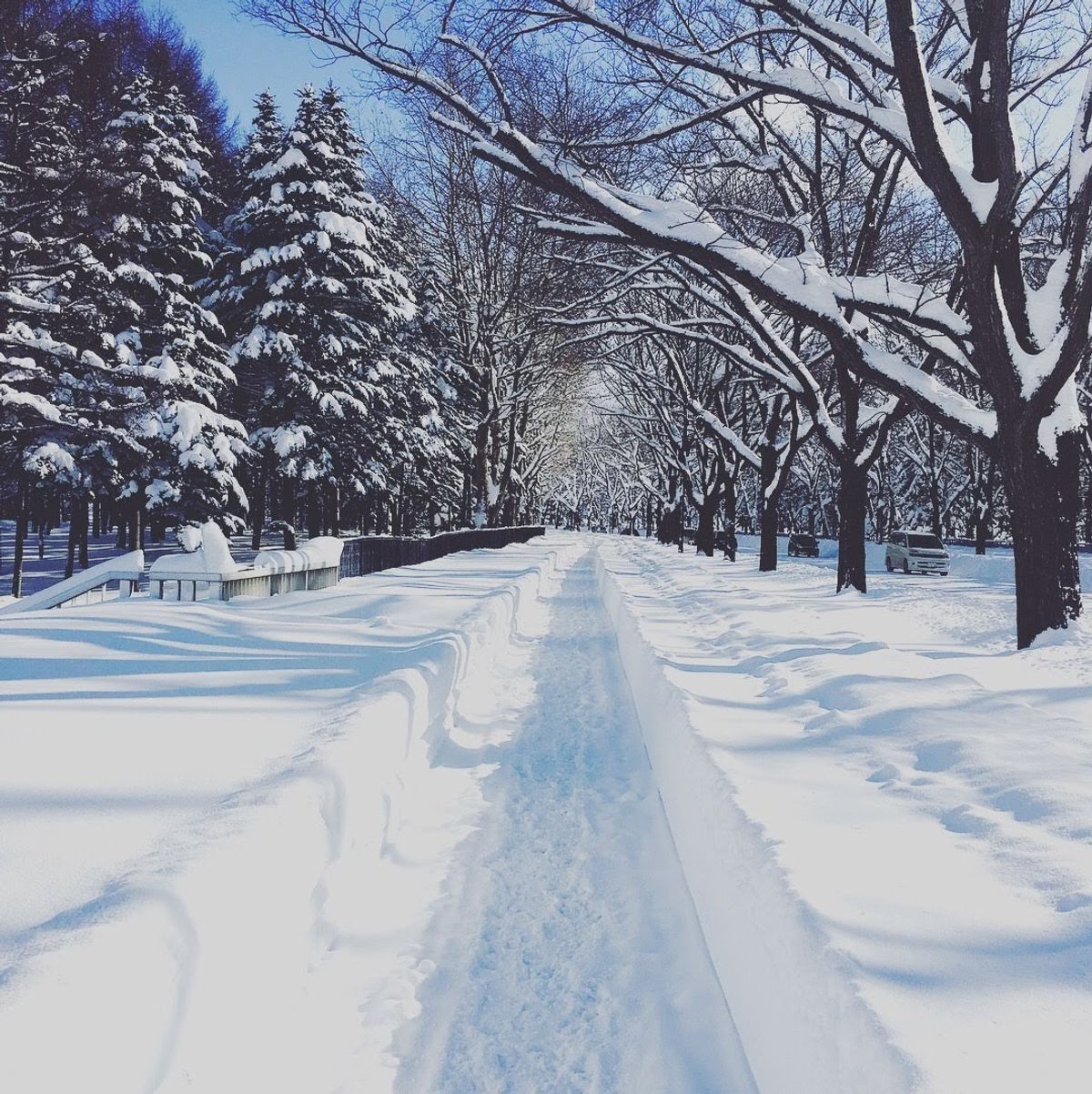 手袋なしで来てしまった大寒波大雪北海道。