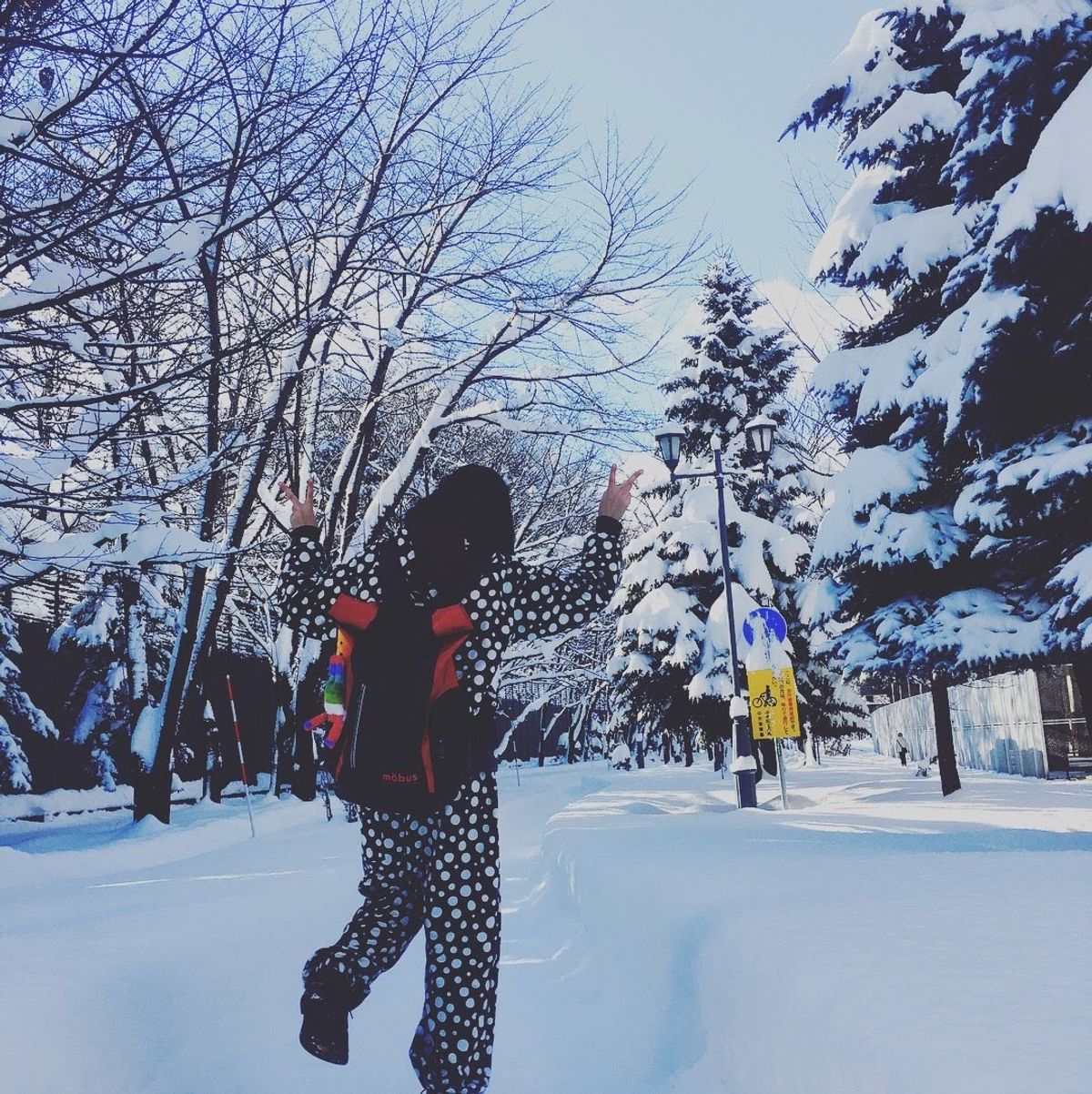 手袋なしで来てしまった大寒波大雪北海道。