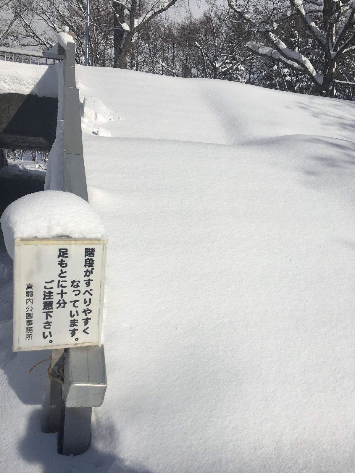 手袋なしで来てしまった大寒波大雪北海道。