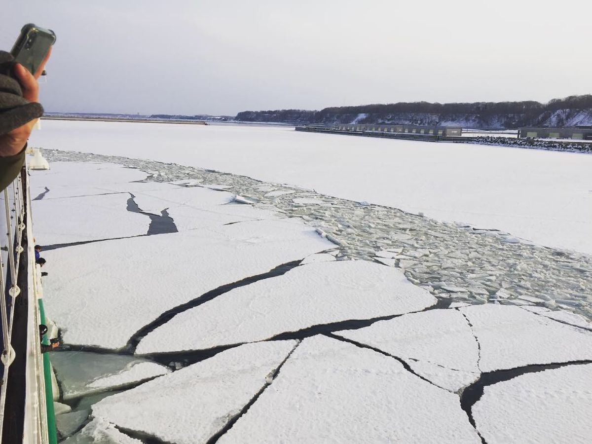 流氷がない、港の氷しかない