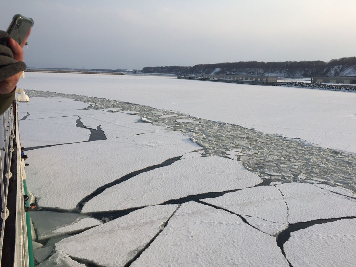 流氷がない、港の氷しかない