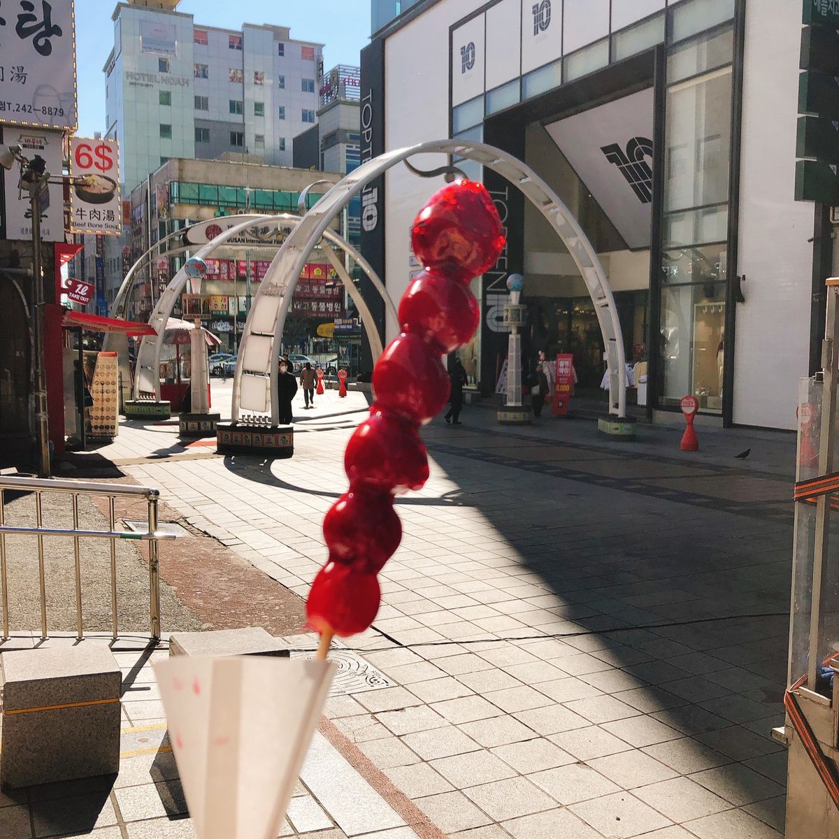 📍南浦洞周辺
アピーチカフェ可愛かったしこのみかんのドリンク美味しかった🤍...