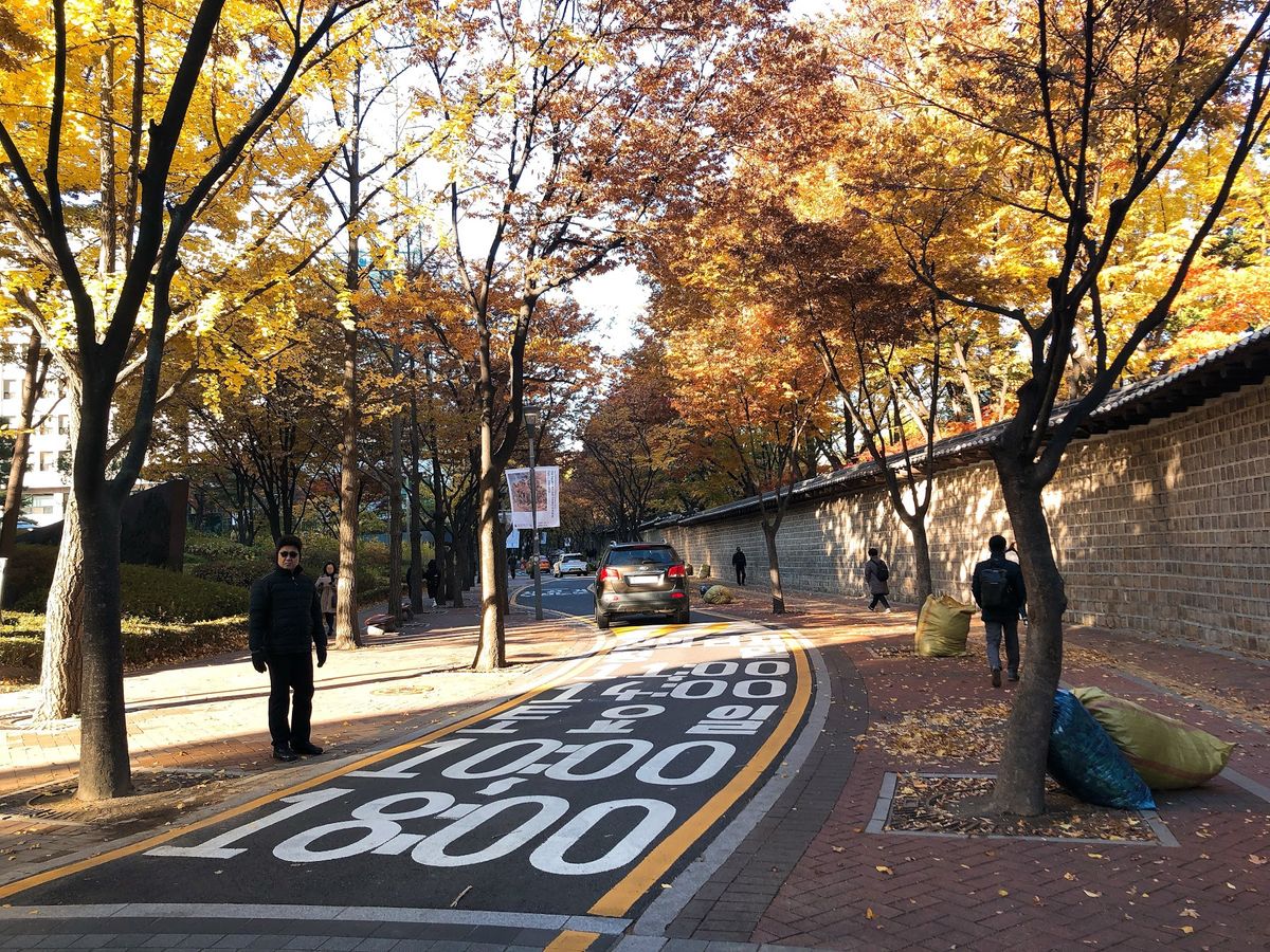 極寒だったなあ