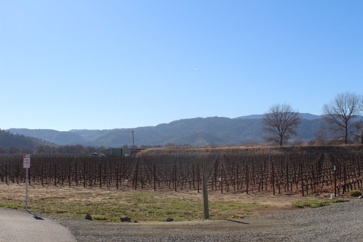 @Silver Oak

ここではVintage wineを購入したのです...