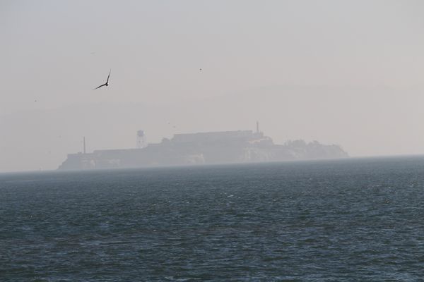 アメリカ(米国)・サンフランシスコ「2014：ASCO-GI@San Francisco」の写真：@Golden gate bridge
...