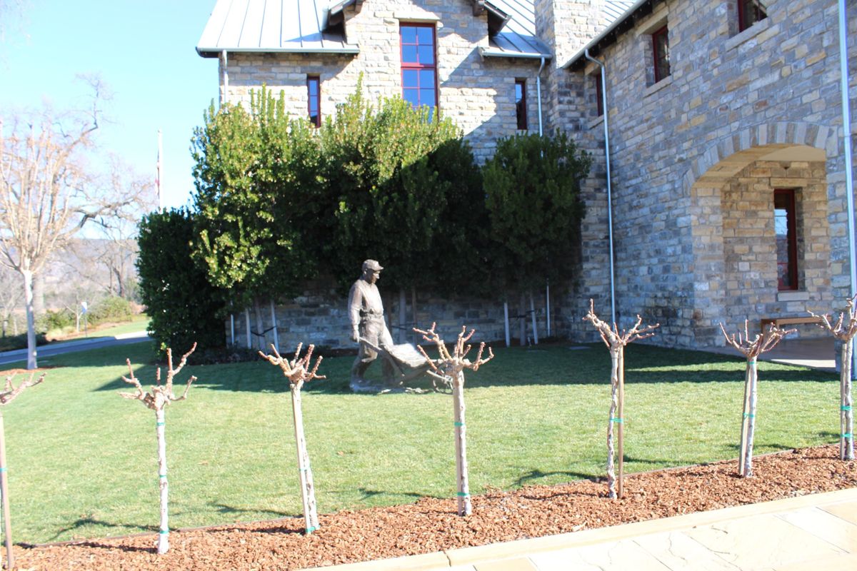 @Silver Oak

ここではVintage wineを購入したのです...