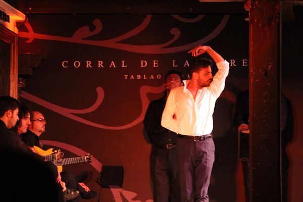 スペイン・マドリード「2014：ESMO@Madrid」の写真：@Corral de la Moreri...