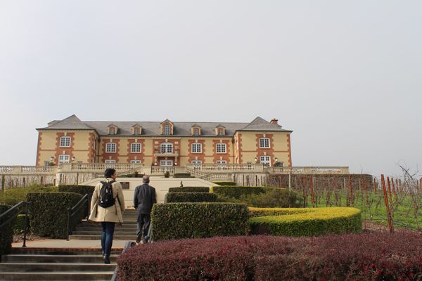 アメリカ(米国)・サンフランシスコ「2015：ASCO-GI@San Francisco」の写真：@Domaine Carneros

2...