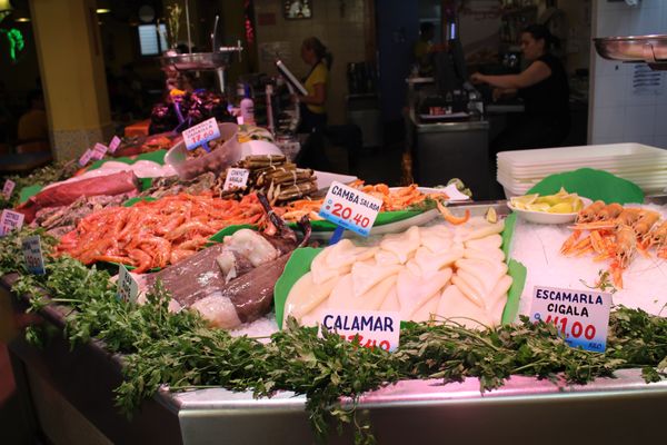 スペイン・バルセロナ「2015：WCGC@Barcelona」の写真：@La Paradeta Sagrada...