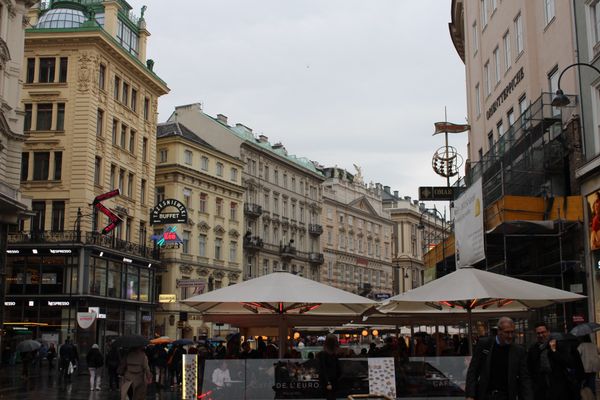 オーストリア・ウィーン「2015：ESMO@Vienna」の写真：@ウィーンの街並み

ウィーンの街並みは...