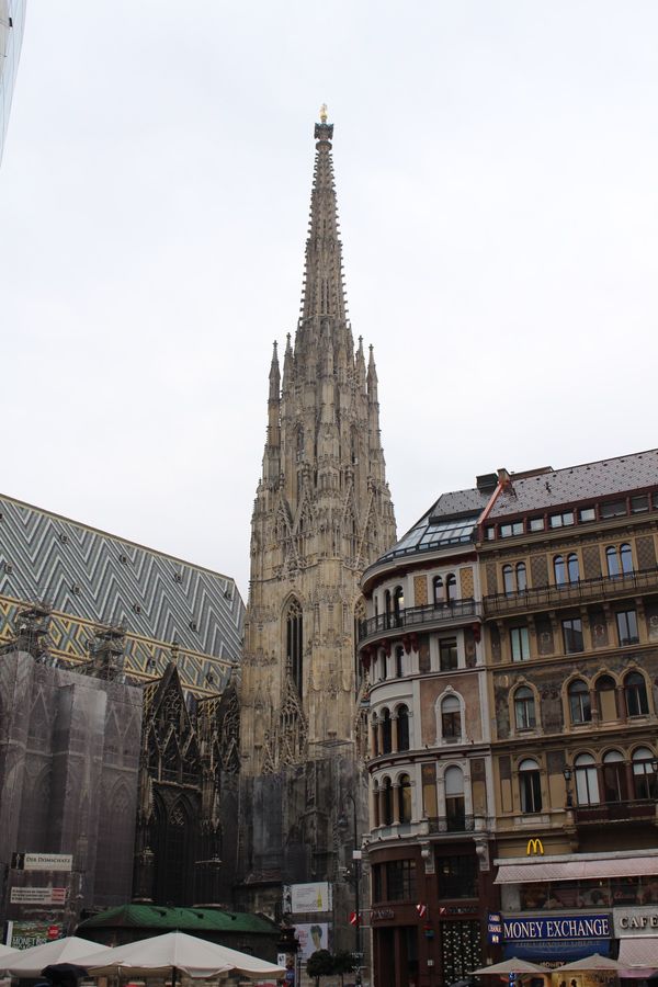 オーストリア・ウィーン「2015：ESMO@Vienna」の写真：@Stephansdom①

ウィーンの...