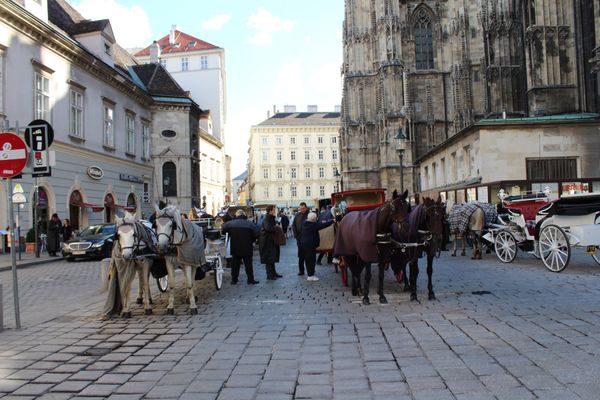 オーストリア・ウィーン「2015：ESMO@Vienna」の写真：@ウィーンの街並み

ウィーンでは観光客...